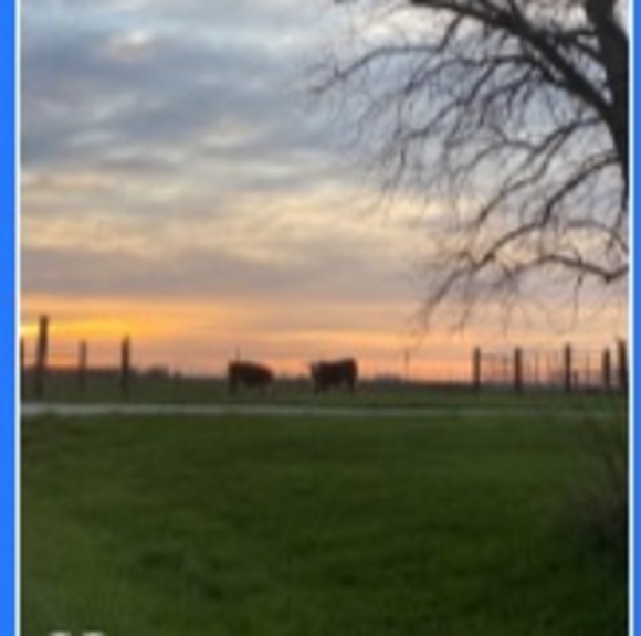 Meet your Posher, Amiee - Picture 1 of 1